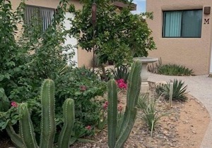 Desert Morada Casita M- 1 Bed 1 Bath Dog Friendly maximum 2-NO OTHER PETS