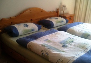 Disentiserhof C505 Kuhn by Interhome