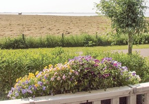 Do you want to enjoy a beautiful view and celebrate vacations in a beautiful environment.