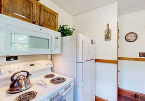 Dog-friendly home with gorgeous mountain views - near Asheville, lake, & skiing