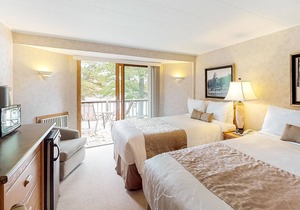Dog-friendly, lakefront studio w/ shared dock, sports courts & game room