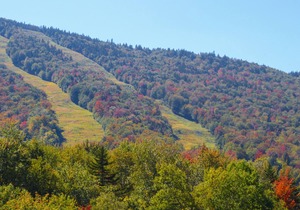 Dog-Friendly Slopeside Condo - Walk to Slopes - Fireplace, Firepit & WiFi