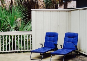 Dog friendly Sparrow Pond Cottage