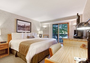 Dog-friendly studio w/ private deck, lake views & shared tennis/boat docks!
