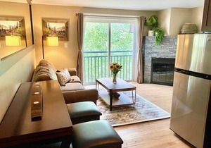 Downtown Condo-Walk Everywhere | Dog-Friendly