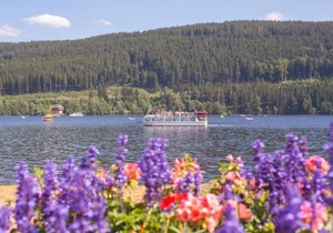 Drei Tannen - Wohnung 04 - Apartmenthaus, Titisee, nahe Badeparadies