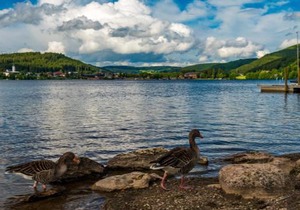 Drei Tannen - Wohnung 06 - Apartmenthaus, Titisee, nahe Badeparadies