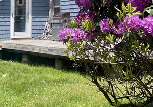 Driftwood Cottage: Bass Harbor, ME