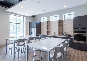 East Side Luxury 1BR Apt - Near Brady St with Balcony and Lounge
