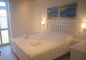 Elbe valley meadows, comfortable holiday home with 2 separate apartments with 100 m² each
