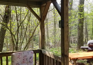 Enjoy Nature At Its Finest-Rustic Furnished Cabin W/Electricity at Abrams Creek