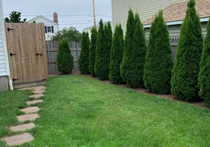 Enjoy our cozy, newly furnished, cottage near newport's beaches and restaurants!