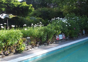 Epphaven Apartment With Outdoor Pool And Gardens In Historic Mansion House