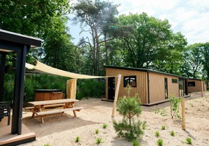 Experience the genuine Veluwe feeling in this relaxed Sand Lodge
