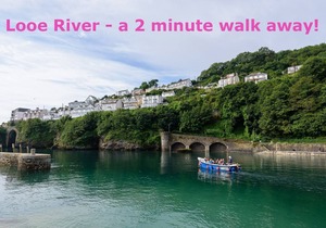 Fabulous cottage for 6 in the heart of town