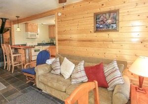 Fawnskin Lakeside Cabin - Nice cozy duplex with mountain views with a Jet Tub
