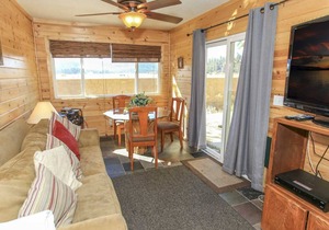 Fawnskin Lakeside Cabin - Nice cozy duplex with mountain views with a Jet Tub