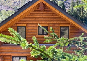 Ferienhaus für 10 Gäste mit 200m² in Feldberg (145784)