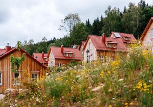 Ferienhaus in Schierke for 7 Personen