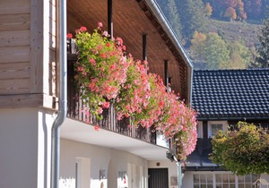 Ferienwohnung 6 Feldberg, 44qm, 1 Schlafzimmer, max. 6 Personen (4 Erwachsene)