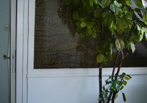 Ferienwohnung am Ölsbach