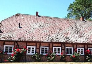 Ferienwohnung/app. für 2 Gäste mit 36m² in Lüdersburg