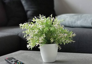 Fewos Bergzeit 1 & 2