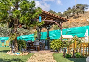 Finca el Albero