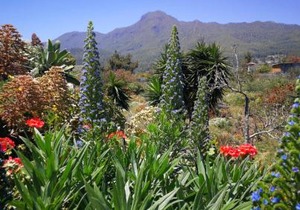 Finca Primavera