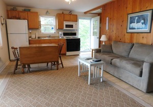 Finger Lakes -Sunset Cottage on beautiful Cayuga Lake! -Blue