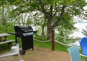 Finger Lakes -Sunset Cottage on beautiful Cayuga Lake! -Blue