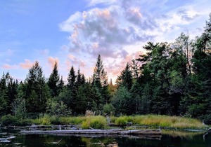 Finley's Riverside Cabins | Cabin # C