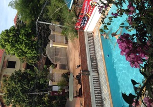 Five Rose Siem Reap Hostel