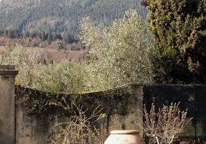 Florence Villa Sleeps 8