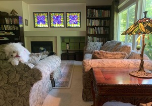 Forest View with White Queen Bed