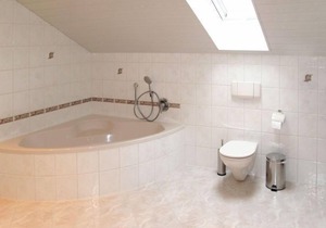 Freisinger by Interhome