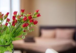 Funky apartment in Studentski Grad