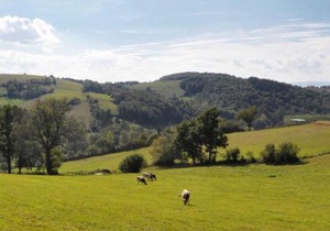 Gîte chaleureux avec cheminée, terrasse et jardin clos - Animaux acceptés - FR-1-496-30