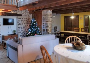Gîte charmant avec cheminée et grand terrain près de Langeac et Saugues - FR-1-582-190