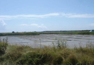 Gîte Guérande, 3 pièces, 4 personnes - FR-1-306-859