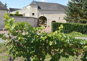 Gîte Ligré, 2 pièces, 2 personnes - FR-1-381-437
