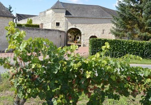 Gîte Ligré, 3 pièces, 4 personnes - FR-1-381-152
