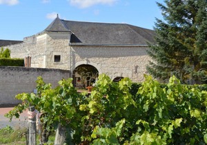Gîte Ligré, 3 pièces, 4 personnes - FR-1-381-10