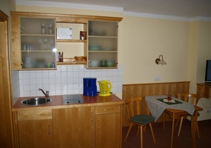 Gemütliches Appartement mit kombinierten Wohn- und Schlafbereich