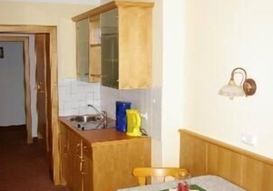 Gemütliches Appartement mit kombinierten Wohn- und Schlafbereich