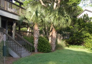 Georgeous Views! Walkout first floor lagoon villa. Pet friendly.
