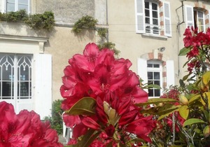 Gite Le Champ-Saint-Père, 3 bedrooms, 7 persons