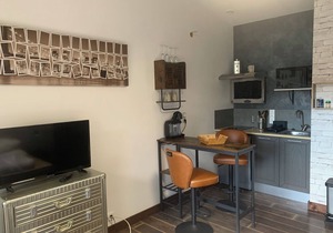 GÎTES 23M2 with terrace, heated pool, SPA and sauna