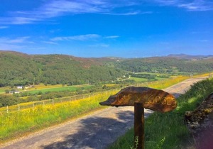 Glen Lodges