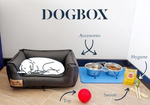 Golden Tulip CDG Airport Roissy